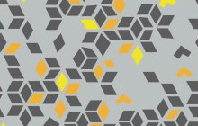 BUV0010